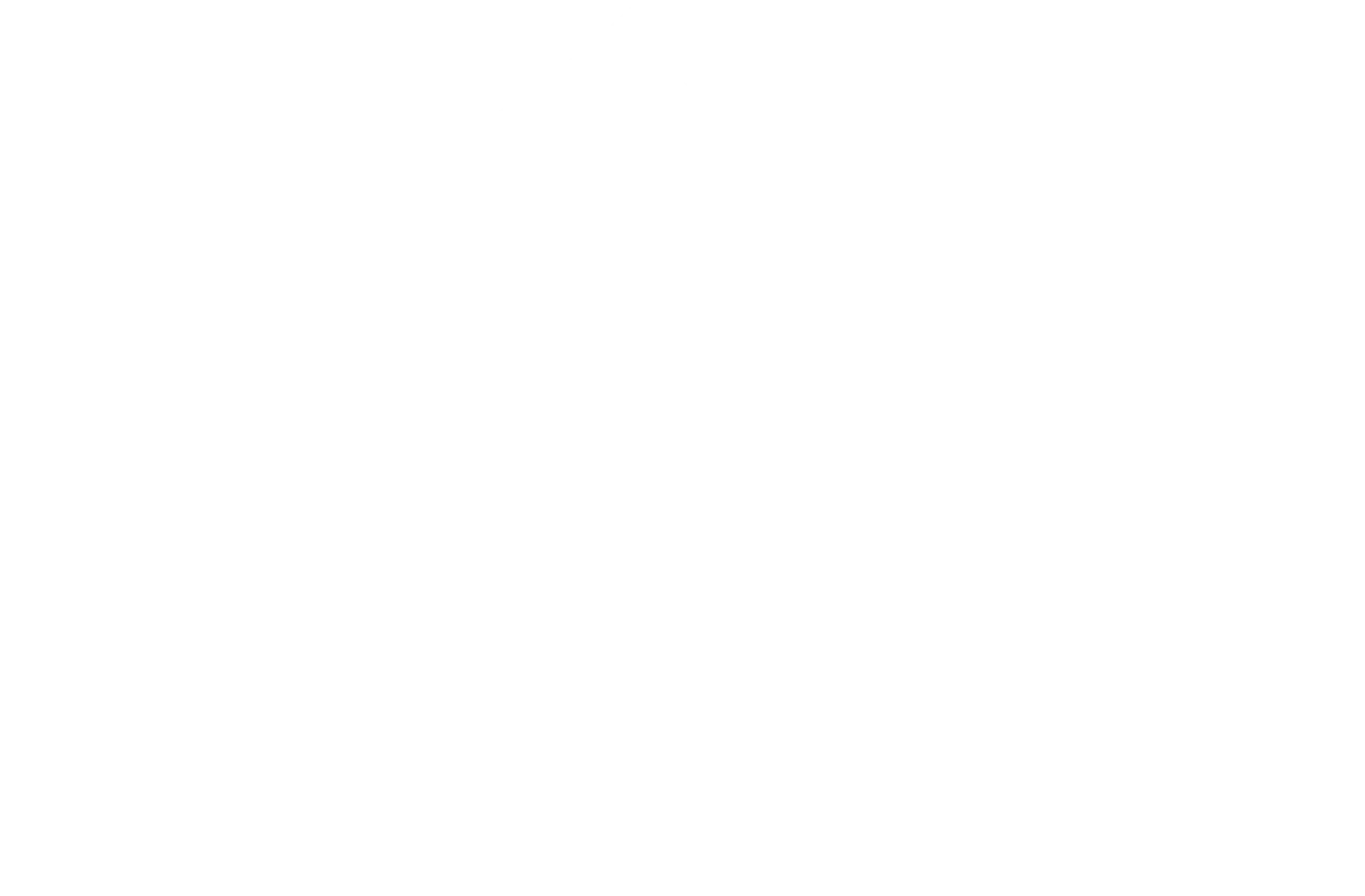 Chalet Simmi