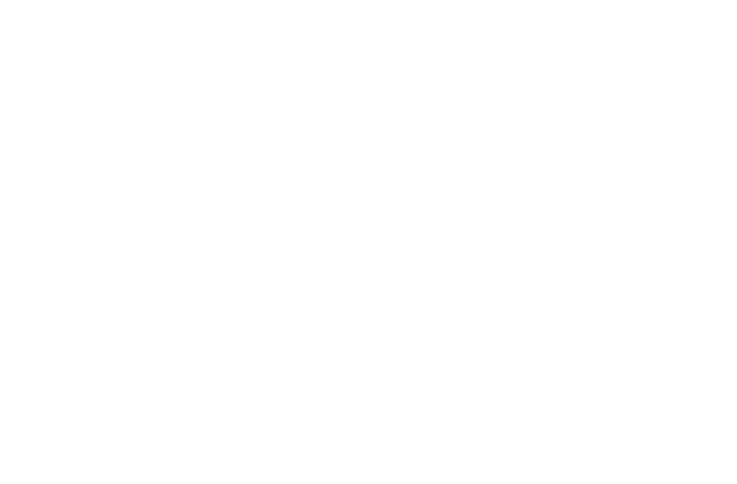 Logo Chalet Simmi weiß